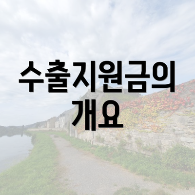 수출지원금의 개요