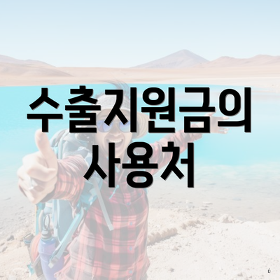 수출지원금의 사용처
