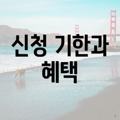 신청 기한과 혜택