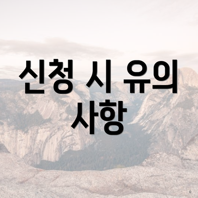 신청 시 유의 사항