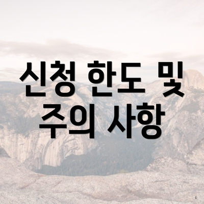 신청 한도 및 주의 사항