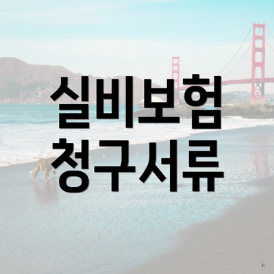 실비보험 청구서류