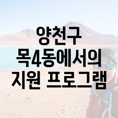 양천구 목4동에서의 지원 프로그램