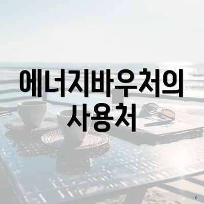 에너지바우처의 사용처