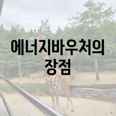 에너지바우처의 장점