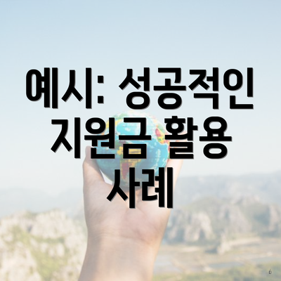 예시: 성공적인 지원금 활용 사례