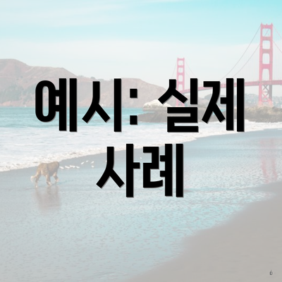예시: 실제 사례