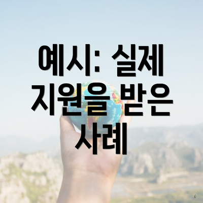 예시: 실제 지원을 받은 사례