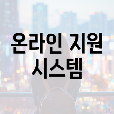 온라인 지원 시스템