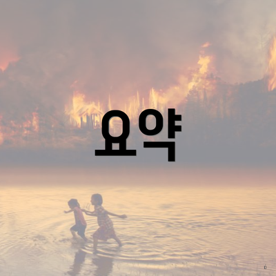 요약