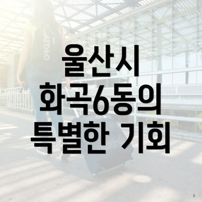 울산시 화곡6동의 특별한 기회