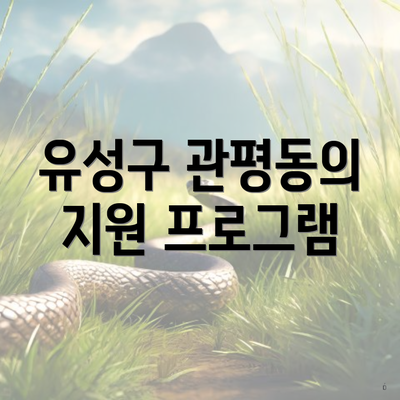 유성구 관평동의 지원 프로그램