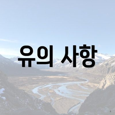 유의 사항