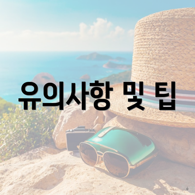 유의사항 및 팁