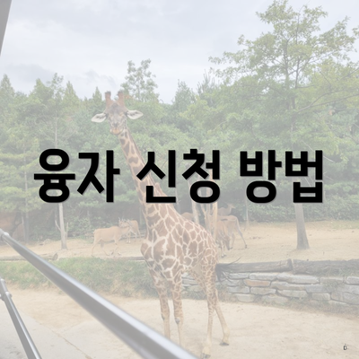 융자 신청 방법