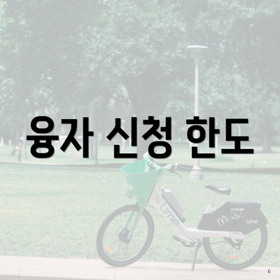 융자 신청 한도