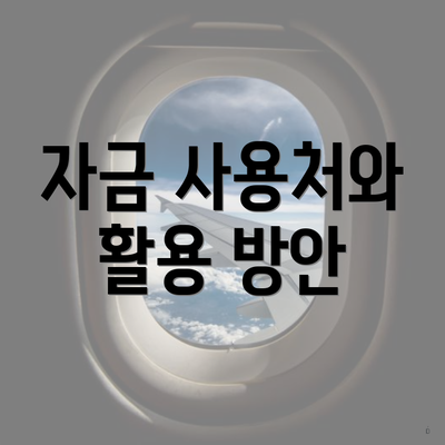 자금 사용처와 활용 방안