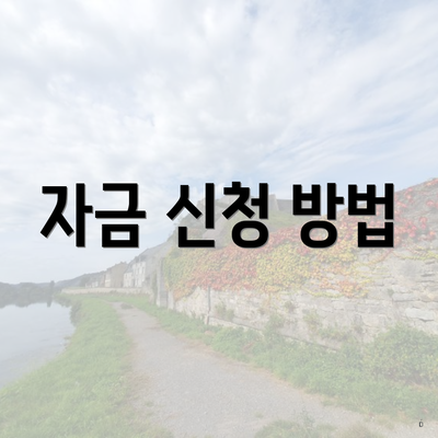 자금 신청 방법