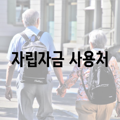 자립자금 사용처