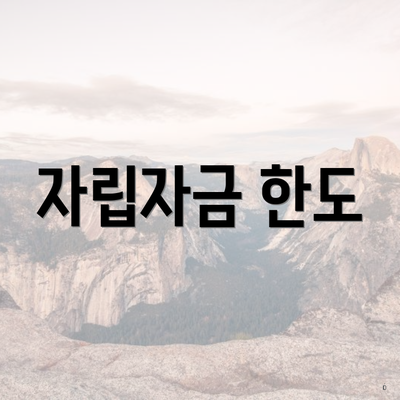 자립자금 한도