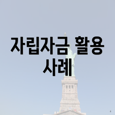 자립자금 활용 사례