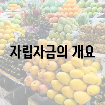 자립자금의 개요