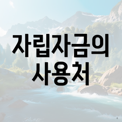 자립자금의 사용처