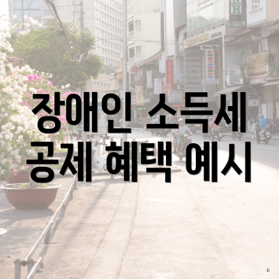 장애인 소득세 공제 혜택 예시