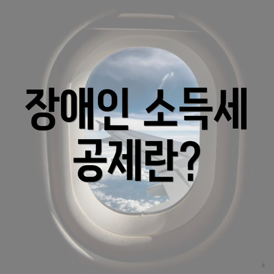 장애인 소득세 공제란?