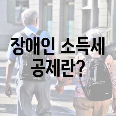 장애인 소득세 공제란?