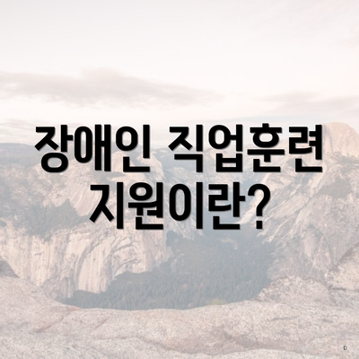 장애인 직업훈련 지원이란?