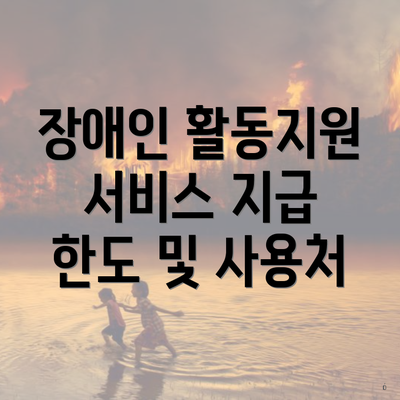 장애인 활동지원 서비스 지급 한도 및 사용처