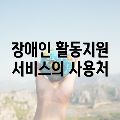 장애인 활동지원 서비스의 사용처