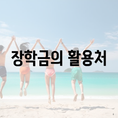 장학금의 활용처