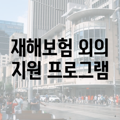 재해보험 외의 지원 프로그램