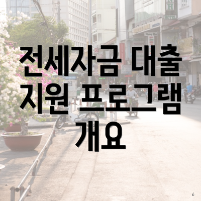 전세자금 대출 지원 프로그램 개요