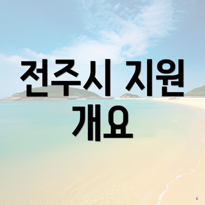 전주시 지원 개요