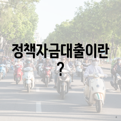 정책자금대출이란?