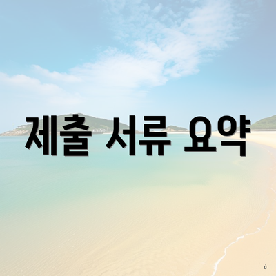 제출 서류 요약