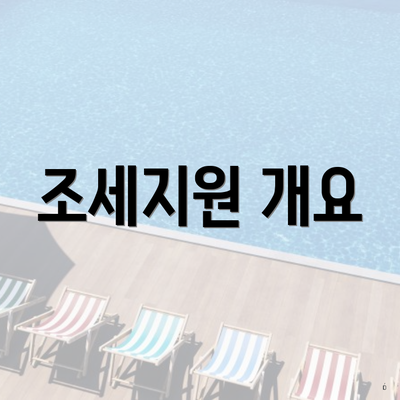 조세지원 개요