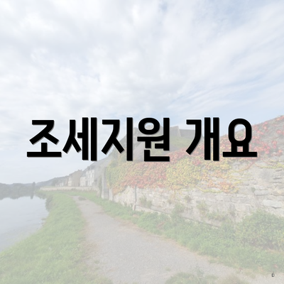 조세지원 개요