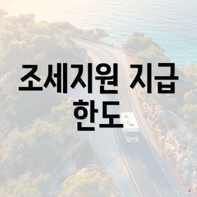 조세지원 지급 한도