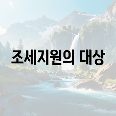 조세지원의 대상