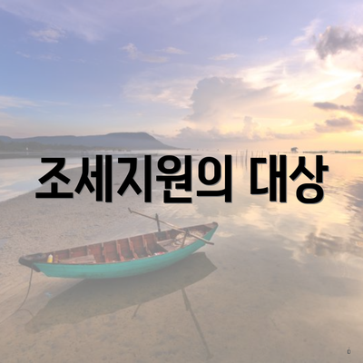 조세지원의 대상