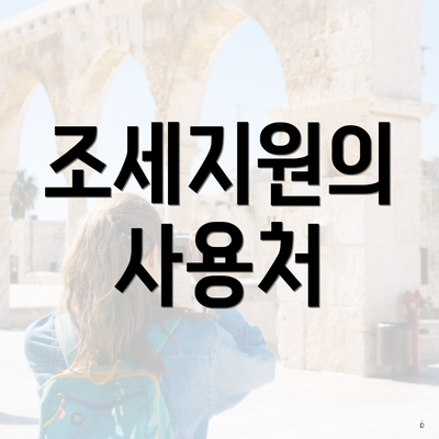 조세지원의 사용처
