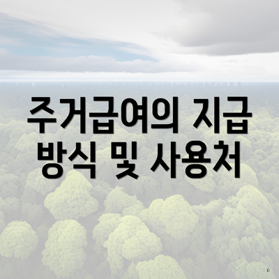 주거급여의 지급 방식 및 사용처