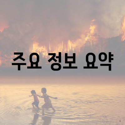 주요 정보 요약