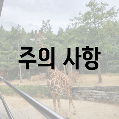주의 사항