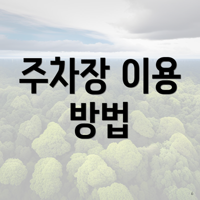 주차장 이용 방법