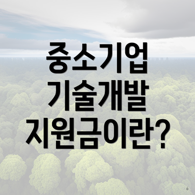 중소기업 기술개발 지원금이란?